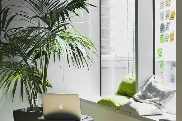 Custom Shopify theme design workspace